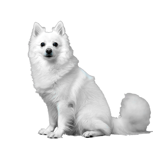 Mochi, a white desktop companion sitting and looking forward